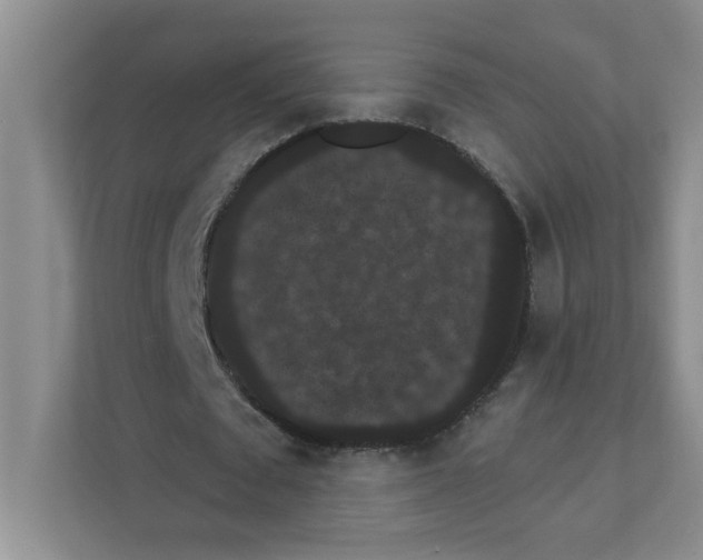 X0000111420673200908241132