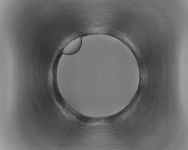 X0000111420674200908241132