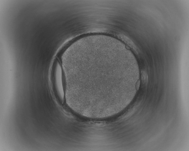 X0000111420676200908241132
