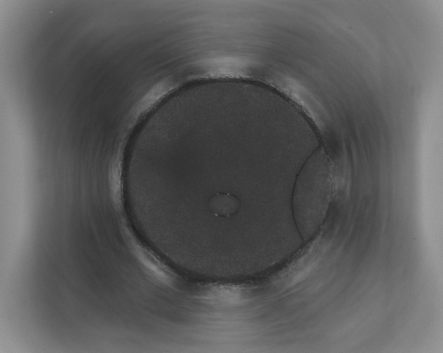 X0000111420677200908241132