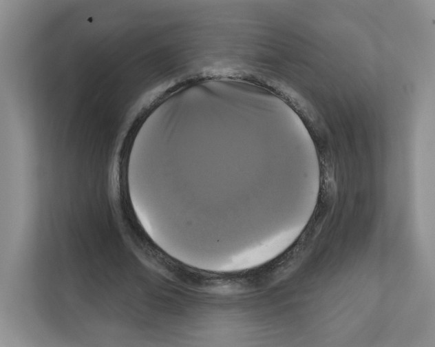 X0000111420678200908241132