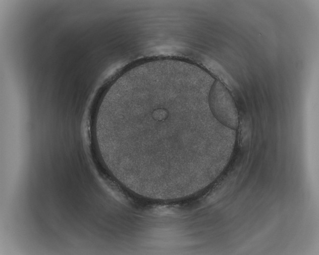 X0000111420680200908241132