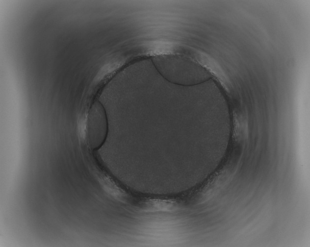 X0000111420681200908241132