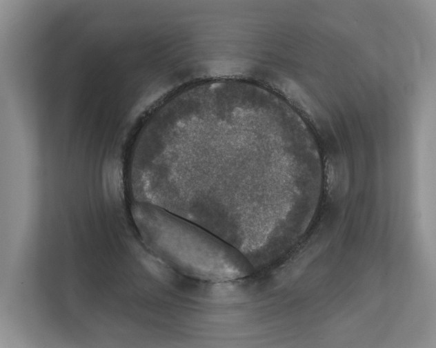 X0000111420684200908241132