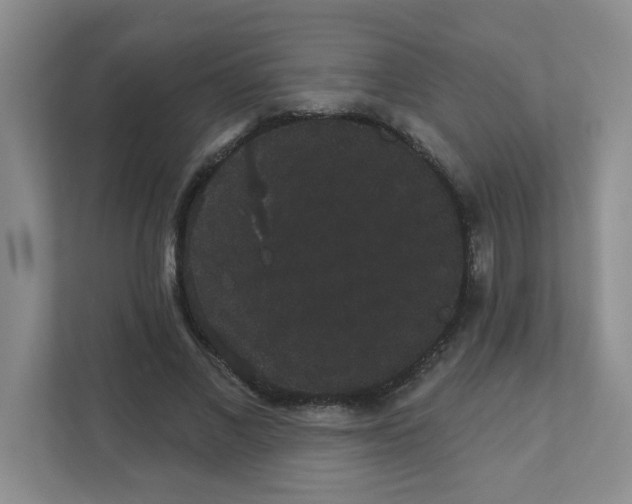 X0000111420685200908241132