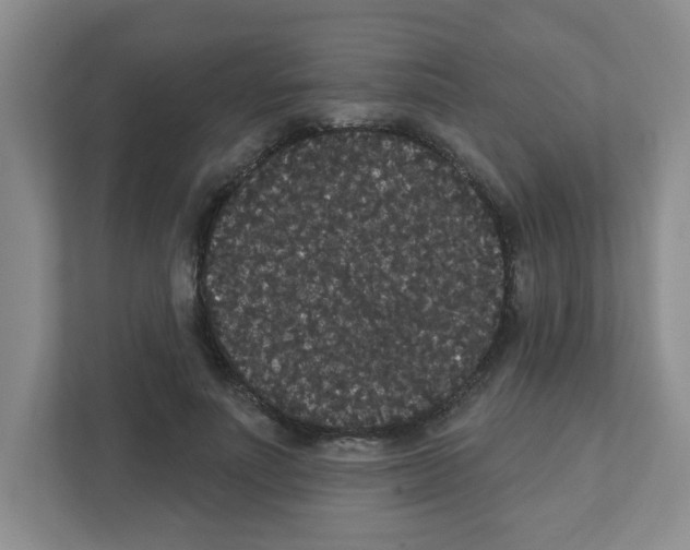 X0000111420691200908241132