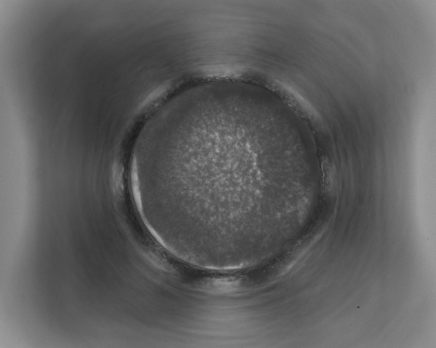 X0000111420692200908241132