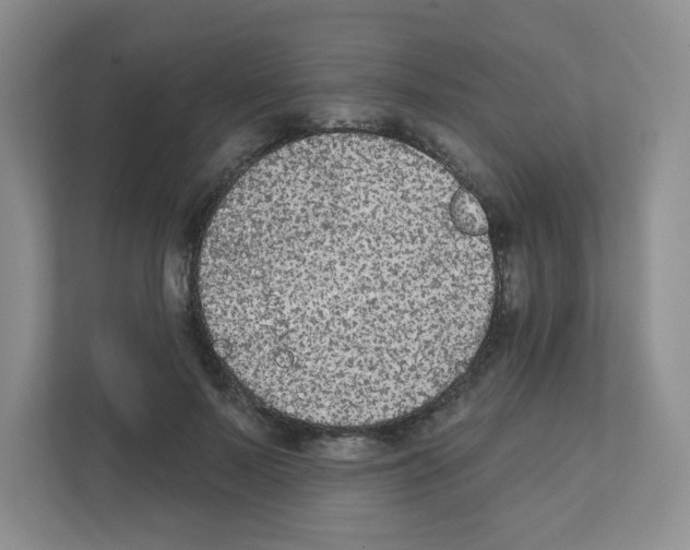 X0000111420695200908241132