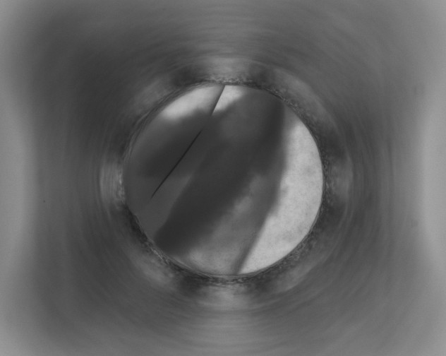 X0000111420696200908241132