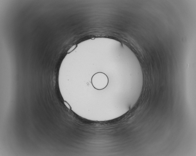 X0000111420697200908241132