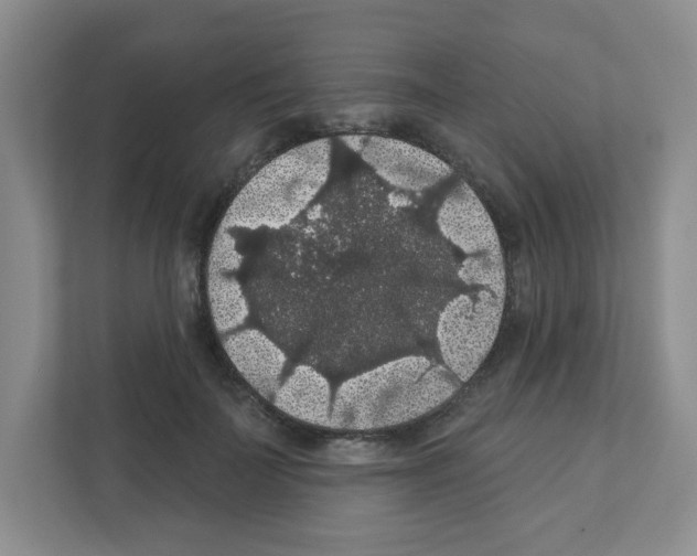 X0000111420699200908241132