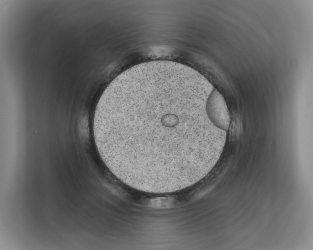 X0000111420700200908241132