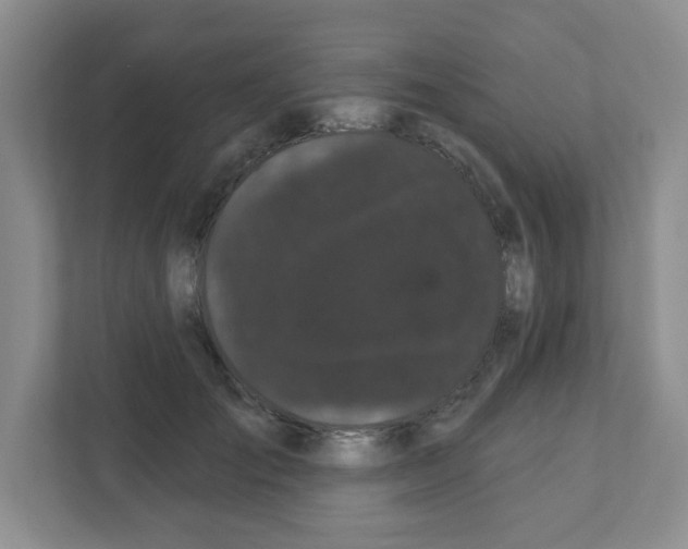 X0000111420701200908241132