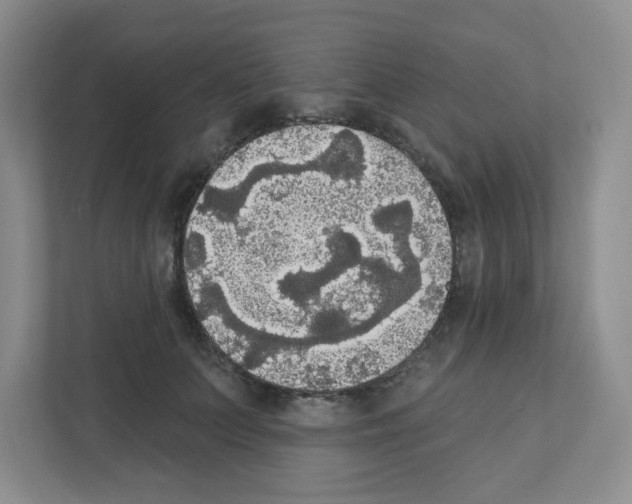 X0000111420703200908241132