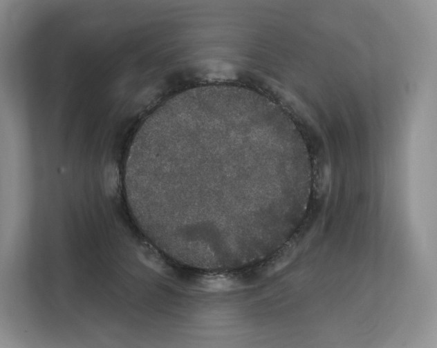 X0000111420704200908241132