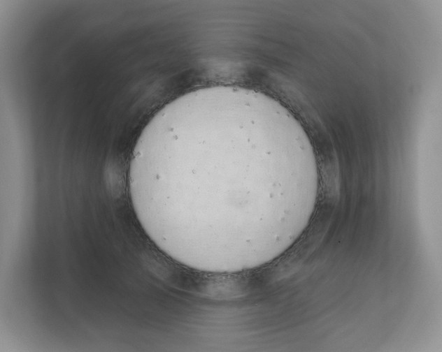 X0000111420705200908241132