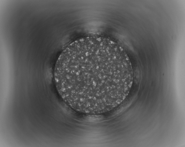 X0000111420707200908241132