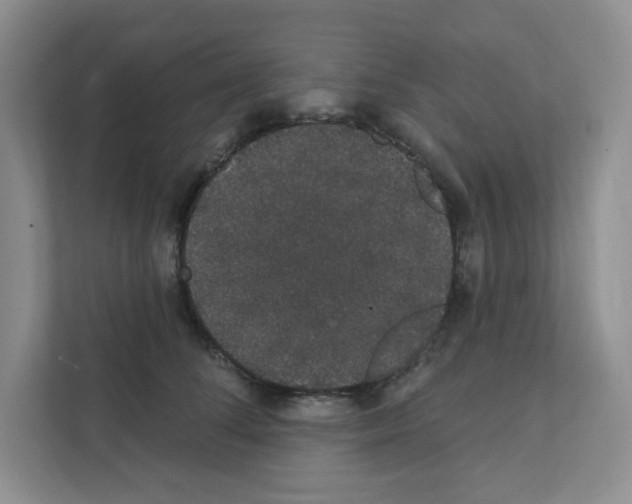 X0000111420708200908241132