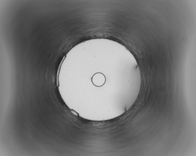 X0000111420709200908241132