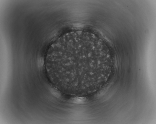 X0000111420711200908241132