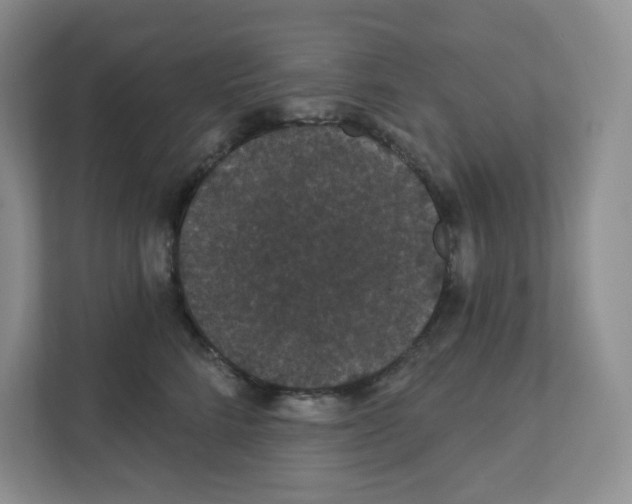X0000111420712200908241132