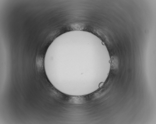 X0000111420713200908241132