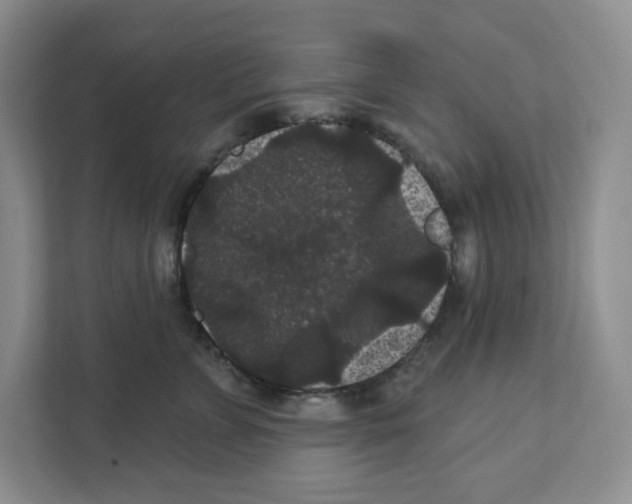 X0000111420715200908241132