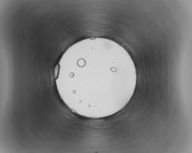 X0000111420716200908241132