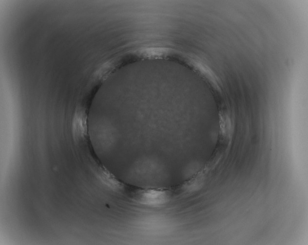 X0000111420718200908241132