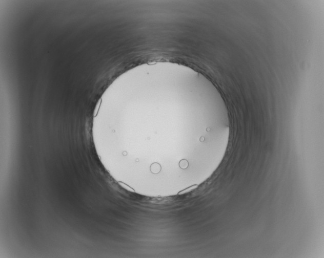 X0000111420720200908241132