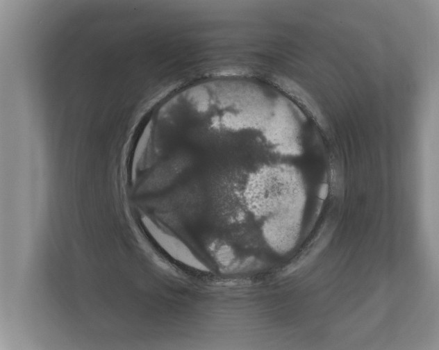 X0000111420721200908241131