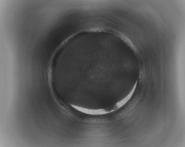 X0000111420722200908241131