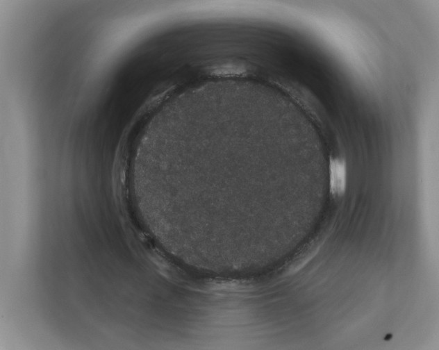 X0000111420723200908241131