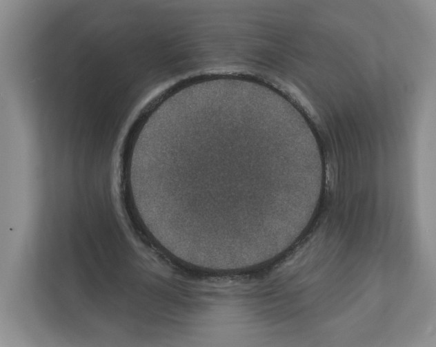 X0000111420724200908241131