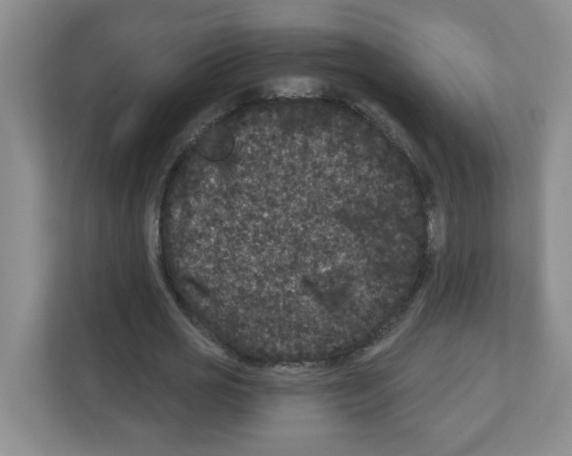X0000111420725200908241131