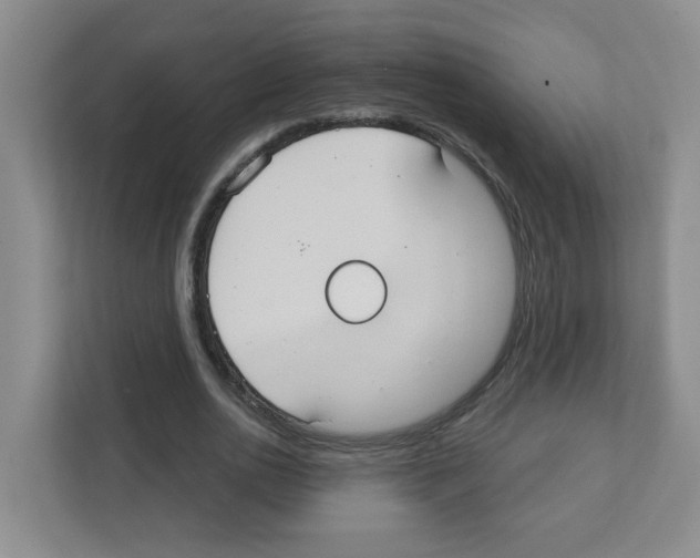 X0000111420726200908241131