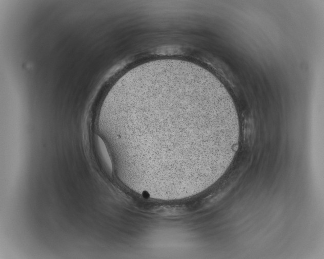 X0000111420727200908241131