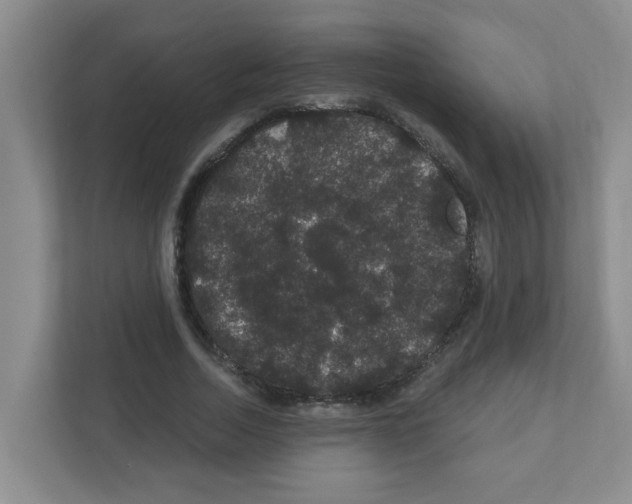 X0000111420730200908241131