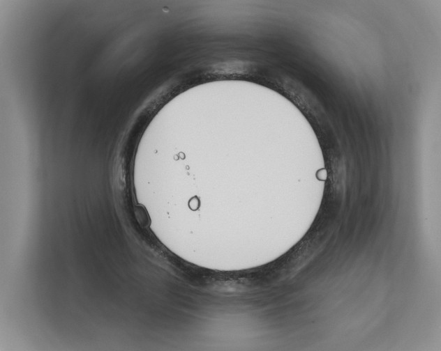 X0000111420731200908241131