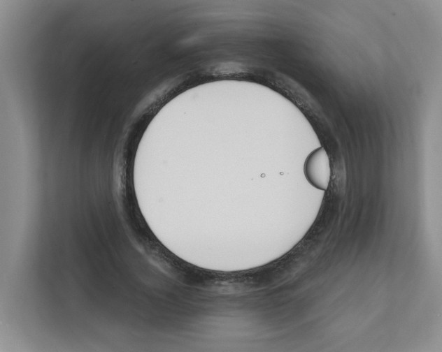 X0000111420732200908241131
