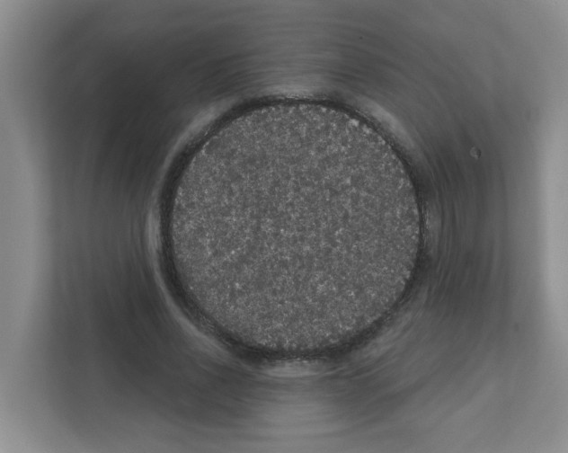 X0000111420734200908241131