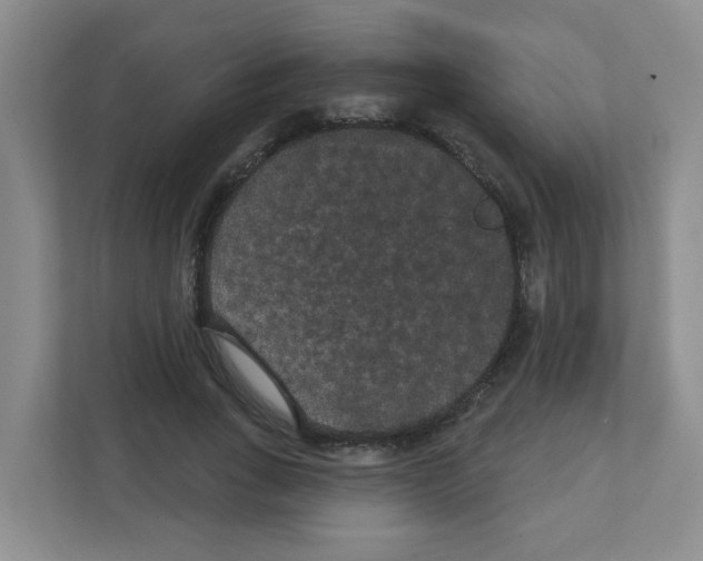 X0000111420735200908241131