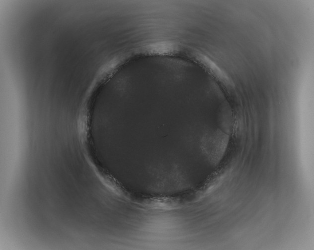X0000111420736200908241131
