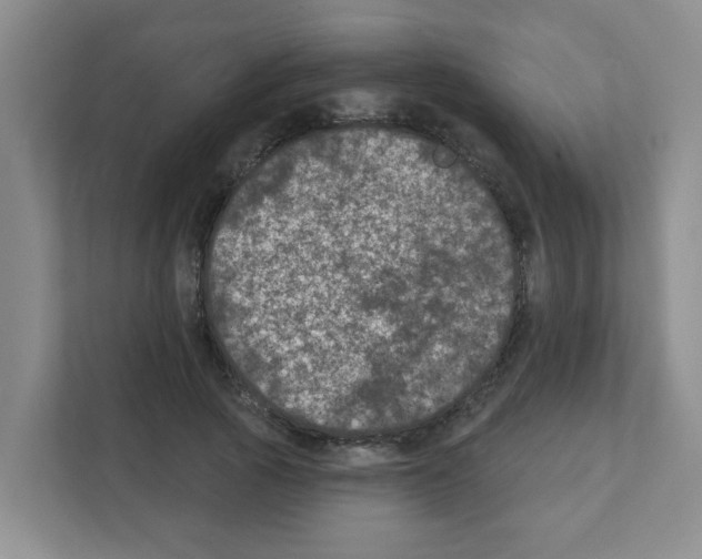 X0000111420737200908241131