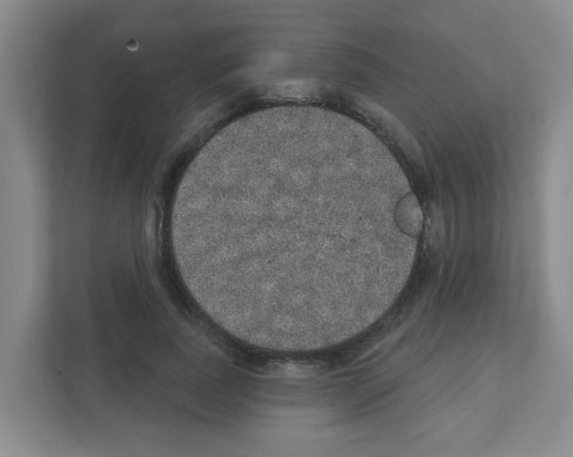 X0000111420739200908241131