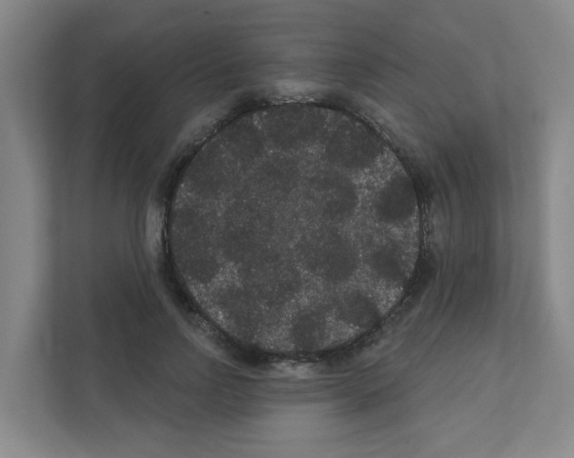 X0000111420742200908241131
