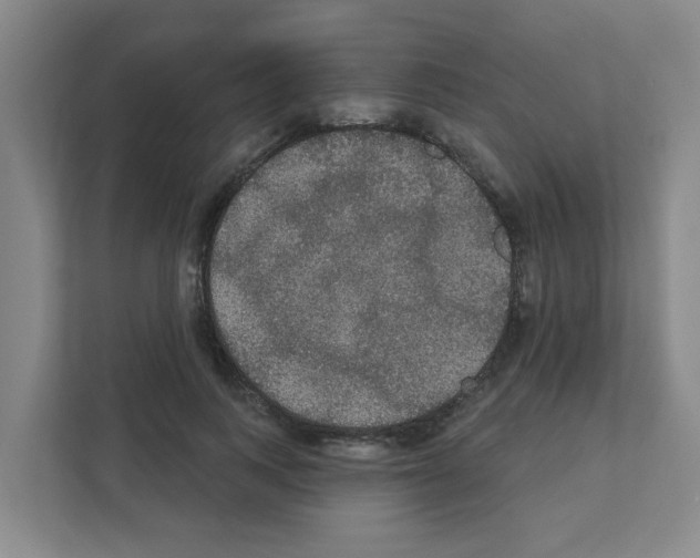 X0000111420743200908241131