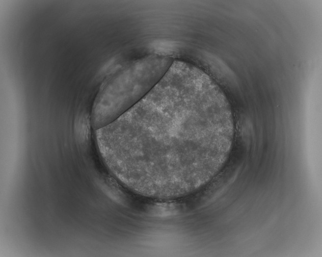 X0000111420744200908241131