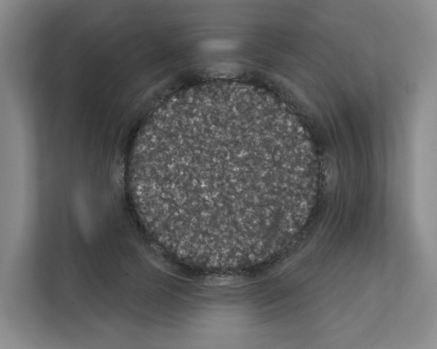 X0000111420745200908241131
