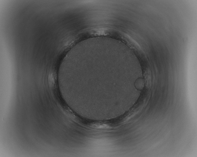 X0000111420747200908241132